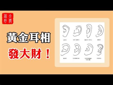 鼠耳面相|耳朵藏財運玄機 面相學曝龍耳、鼠耳一生富貴